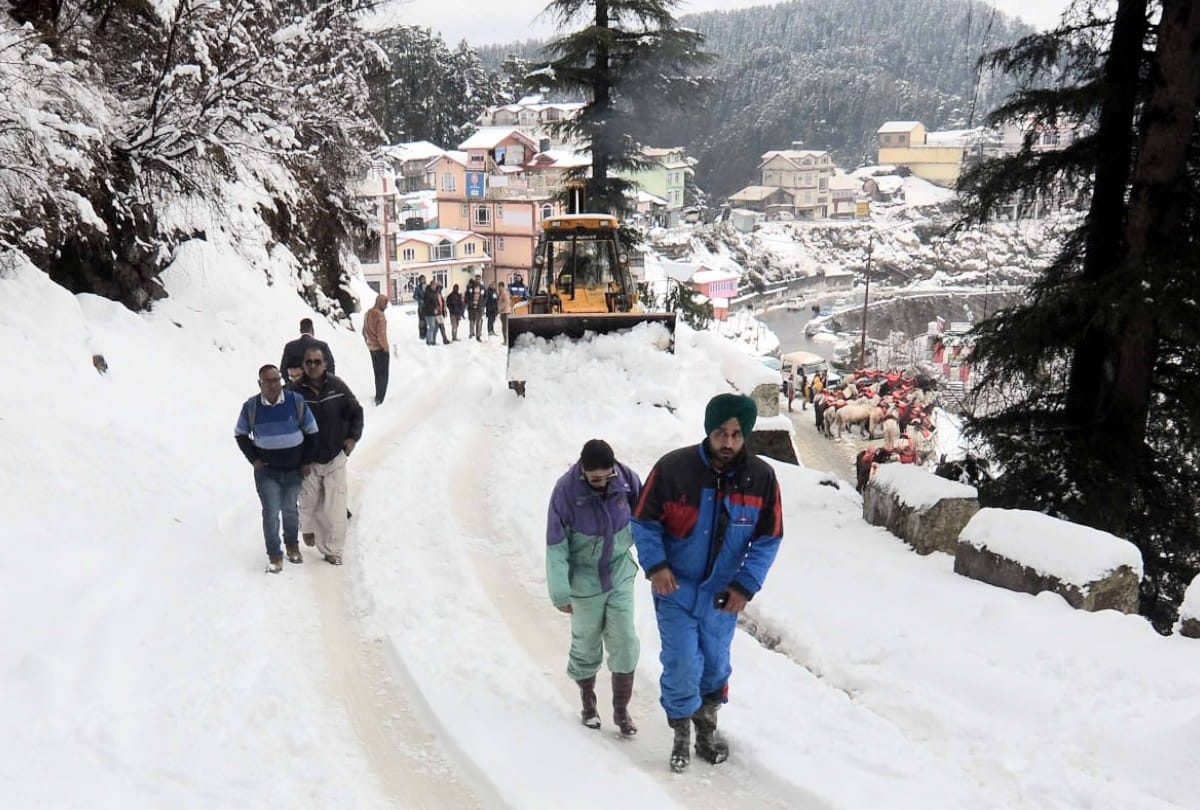 tourist destination Kufri shimla received fresh snowfall, Effect on fruit flowering