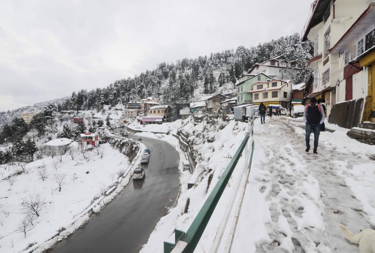 tourist destination Kufri shimla received fresh snowfall, Effect on fruit flowering