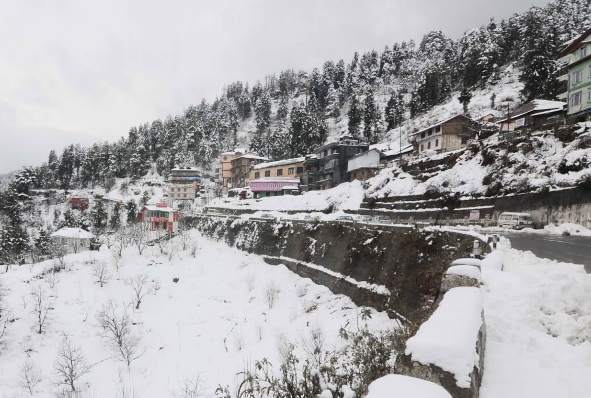 tourist destination Kufri shimla received fresh snowfall, Effect on fruit flowering