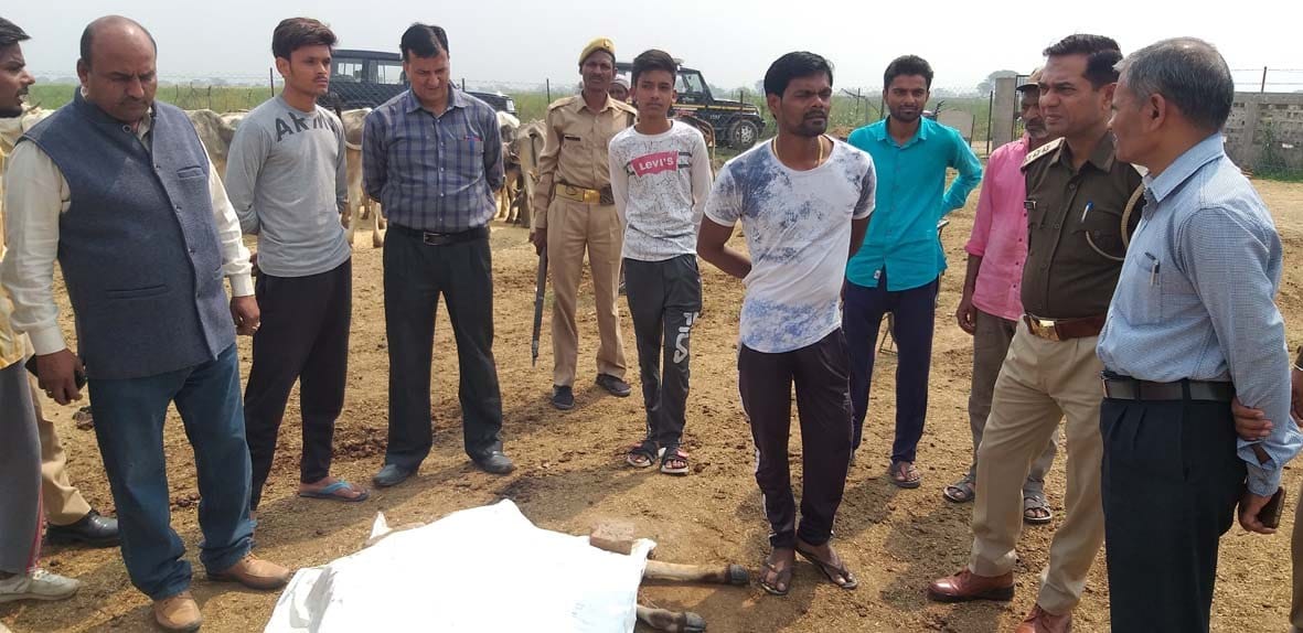 Team of officers reached Goshala with medicines and doctors
