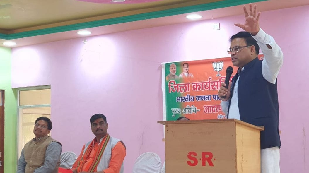 BJP will come out with full power in panchayat elections