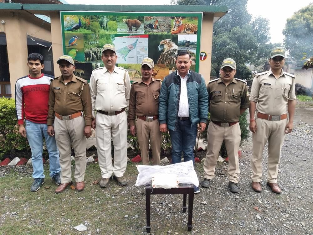 Even after Corona, the smugglers are not relieved of the pangolin smuggling