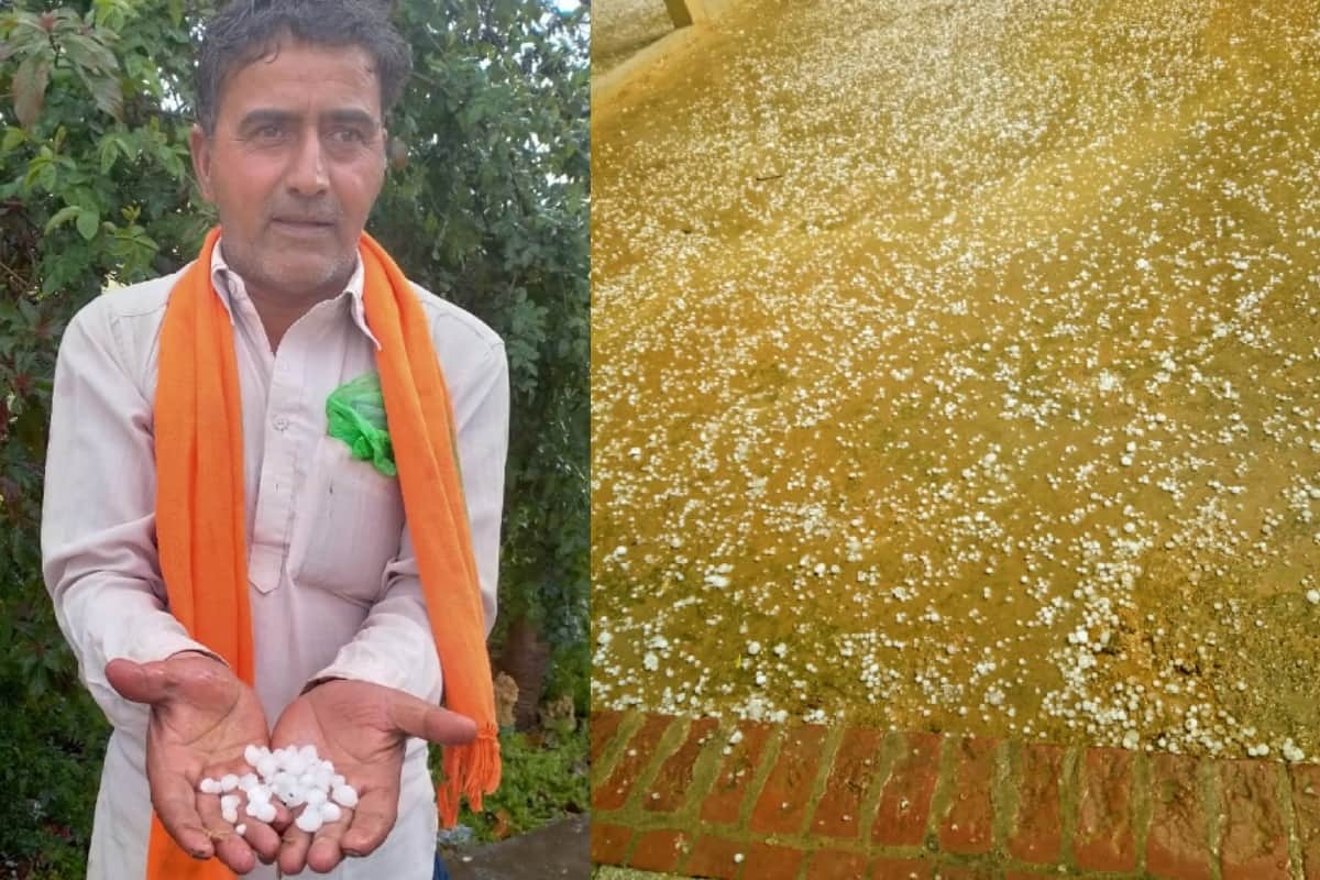 weather update: Heavy rain-hail destroyed crop in Western UP