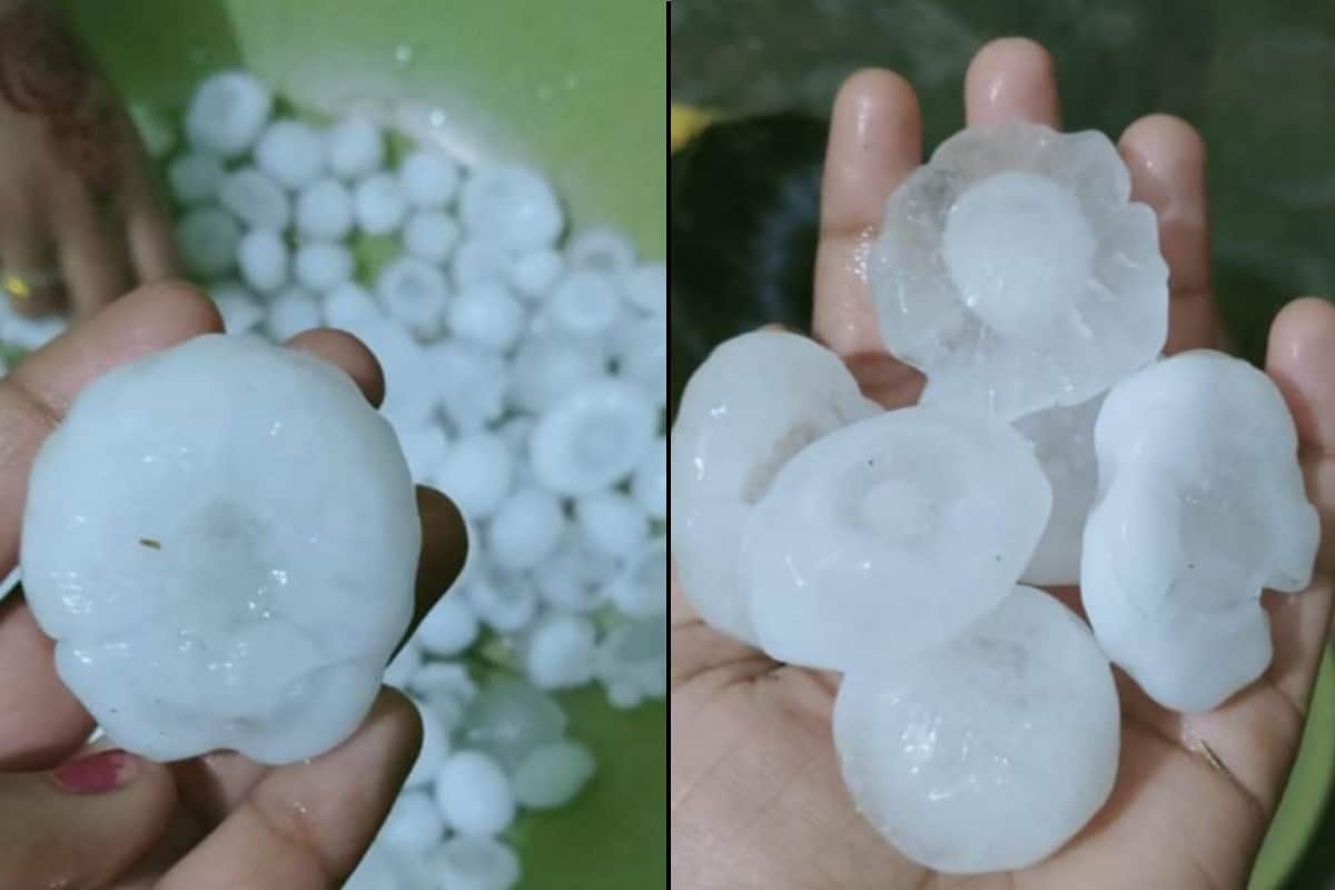 weather update: Heavy rain-hail destroyed crop in Western UP