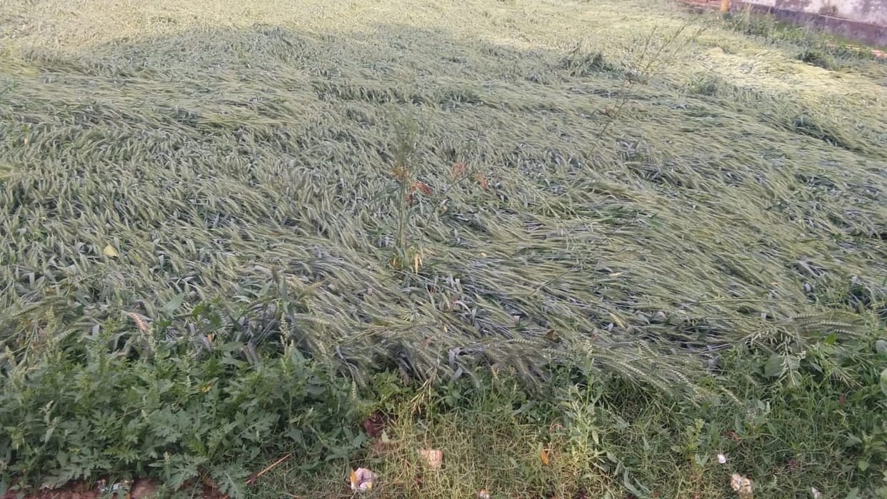 Farmers in crisis, all desires broken