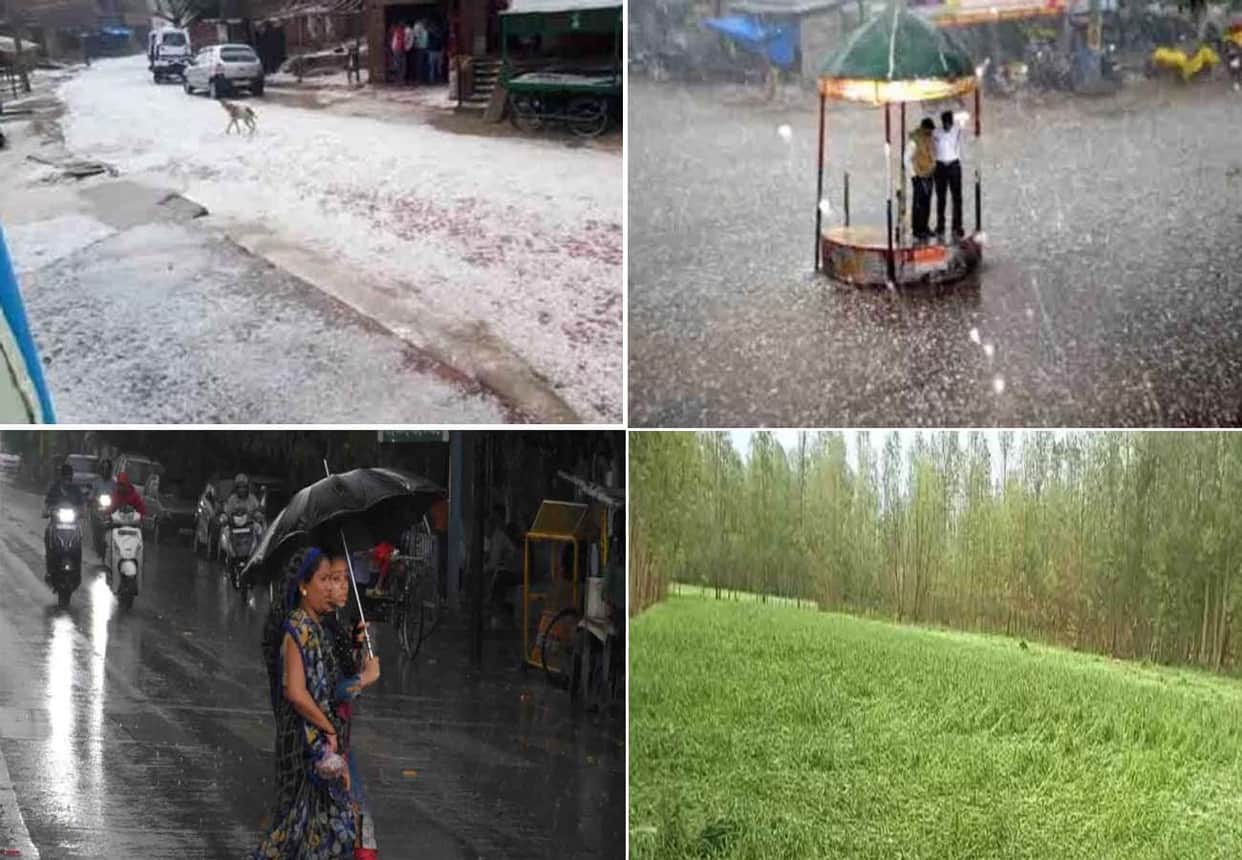 weather report, rain in these cities of UP, weather department prediction, effect of climate change