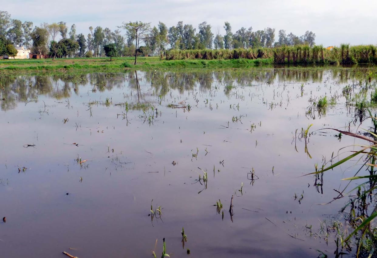 The rains, hailstorms ravaged, farmers upset