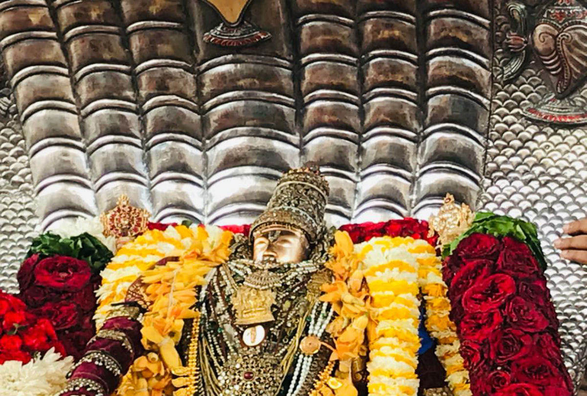 Bramhotsava Rath Yatra of Rangji Temple Vrindavan