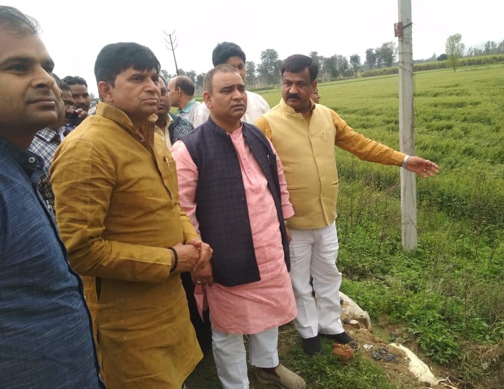 Crops damage in many villages of Jhinjhana