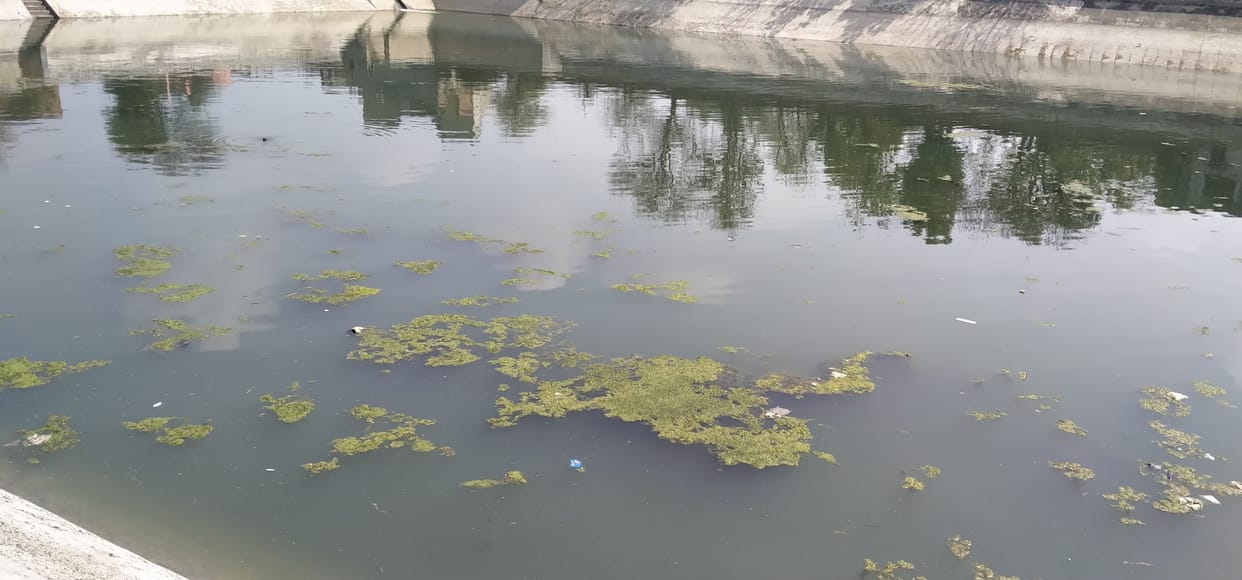 Canal Water reached in Charkhi Dadari after 24 Days