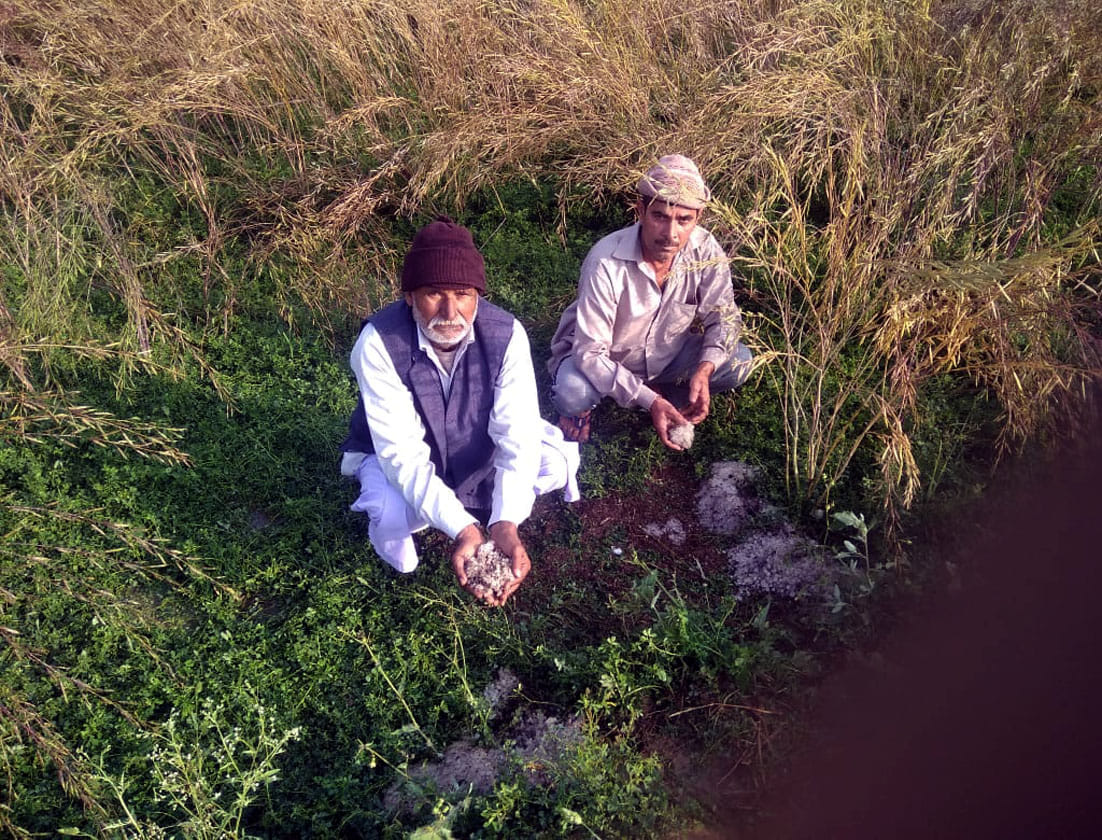 Crops destroyed due to rain and hail