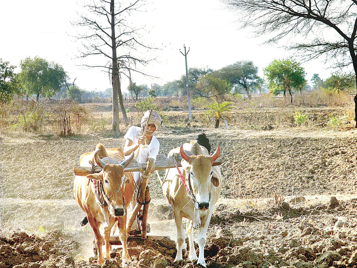 31 crore sought to compensate farmers' losses in chitrakoot