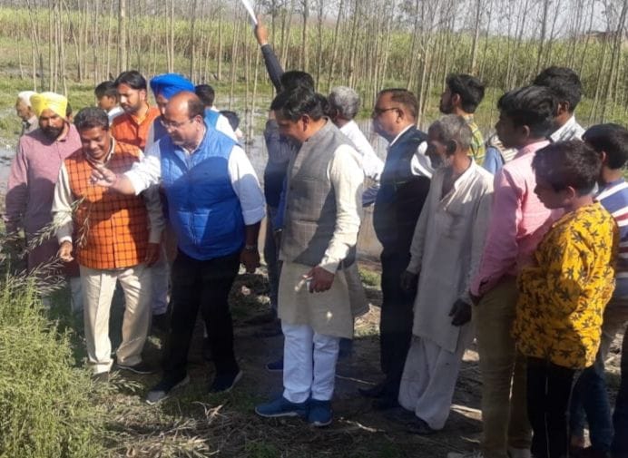 Assessed the loss of crops