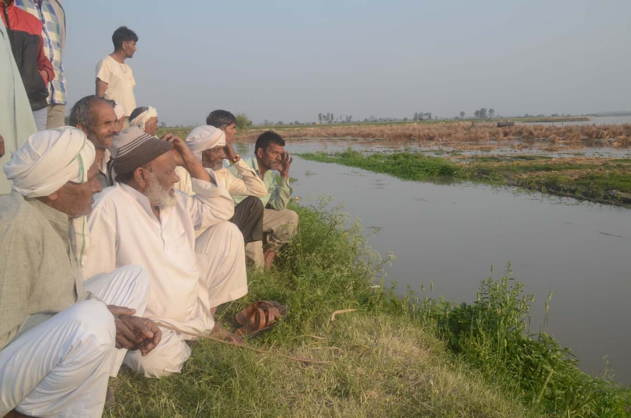 Yamuna's water level rises, hundreds of bigha crop submerged