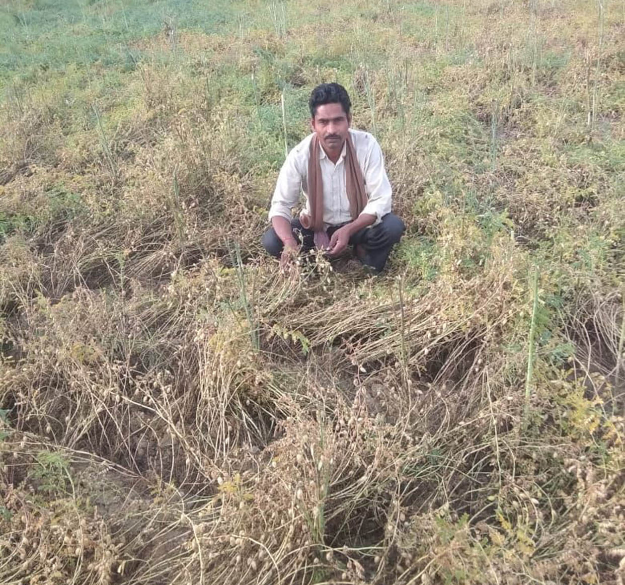 Hail-rains gave a year's pain