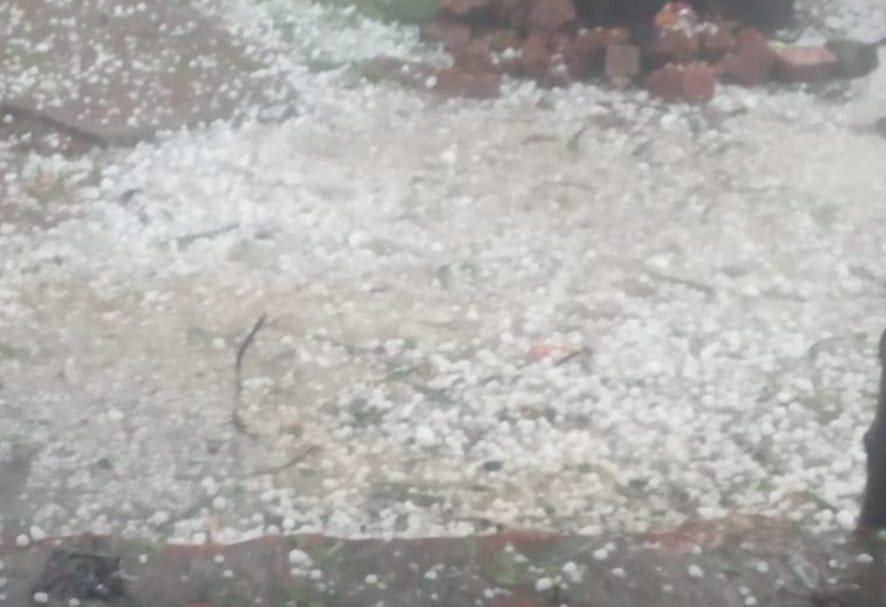 Heavy damage to crops due to rain and hail