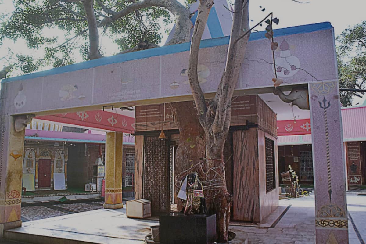 Mahabharata Circuit: Dankaur place of The practice of Eklavya and the dakshina of Drona