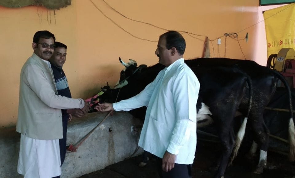 Make Aadhaar cards of cows