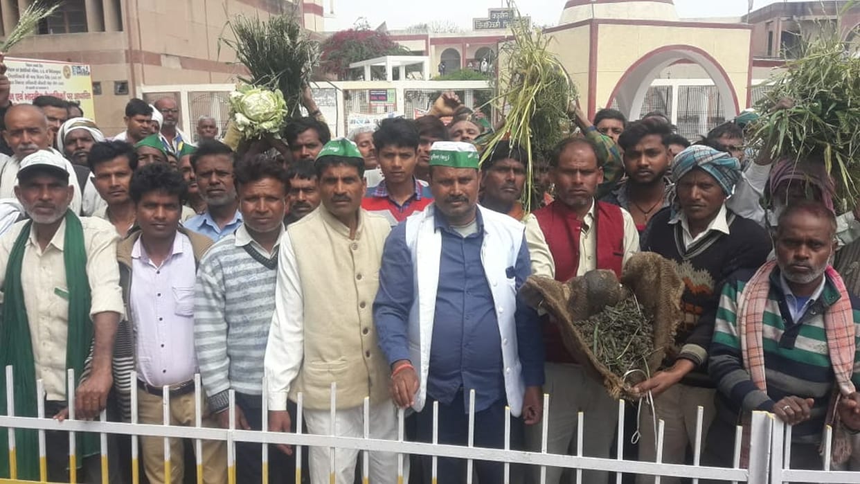 farmer, protest, croup, firozabad