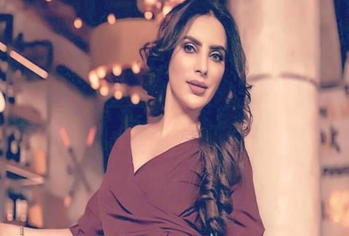 Choti Sardarni Fame and Punjabi Singer HansRaj Hans Daughter in Law Mansi Sharma Baby Shower Photos