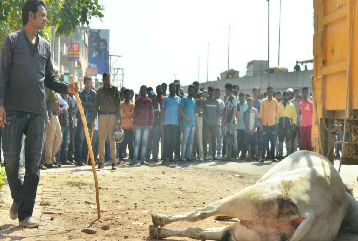 Bull Attack On Croud Many People Injured