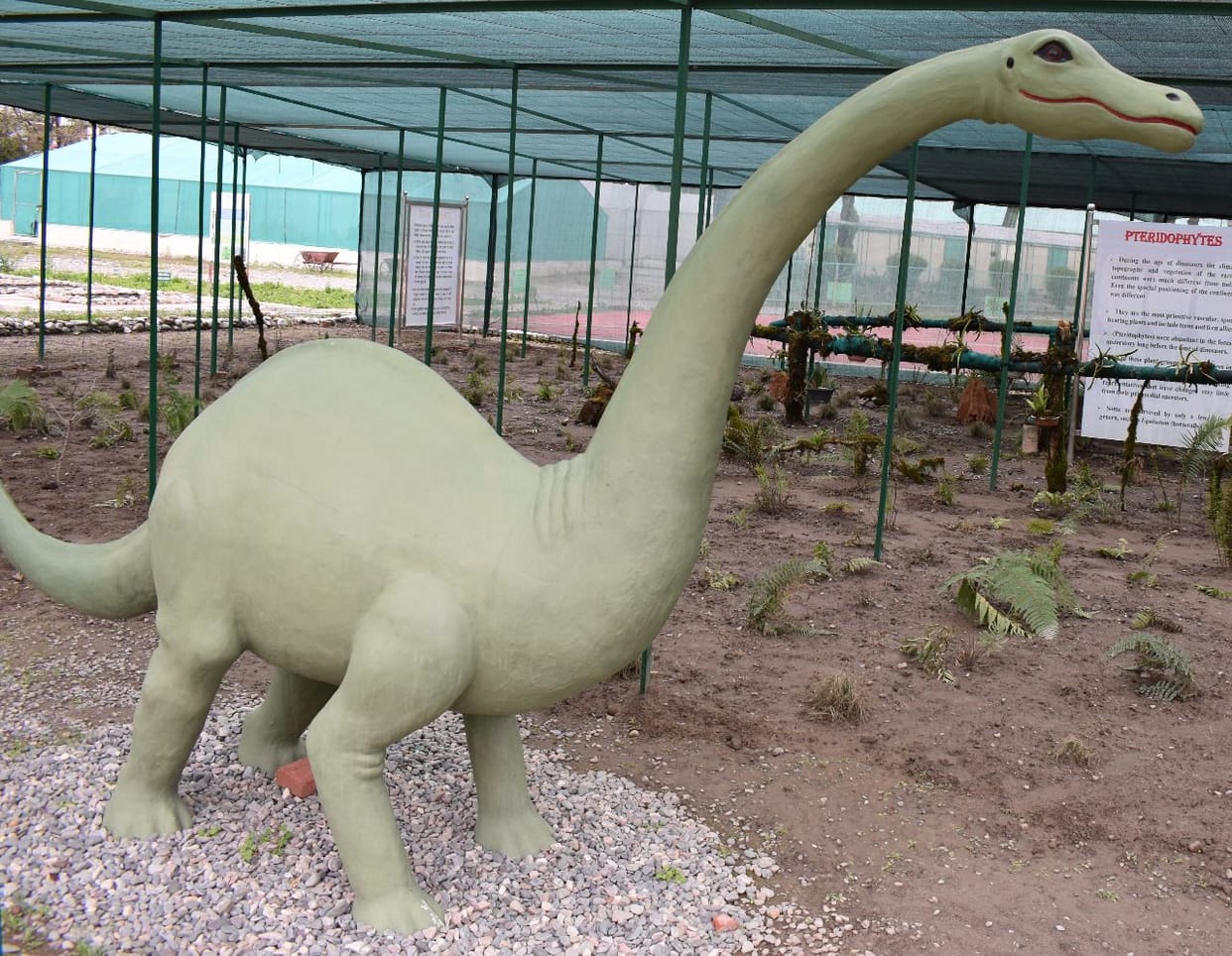 The country's first botanical Jurassic Park, set in Haldwani