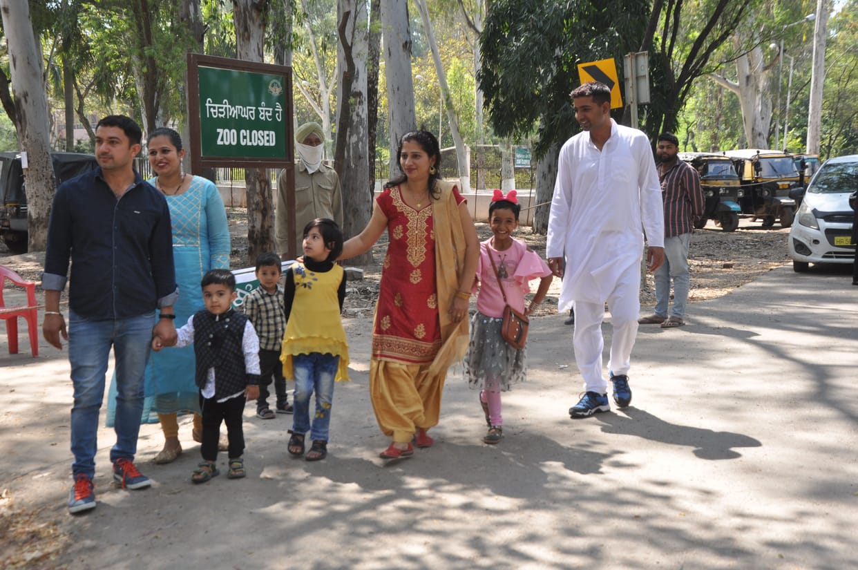Corona: chattbir Zoo Closed .. Tourists Returned