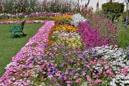 Flower garden