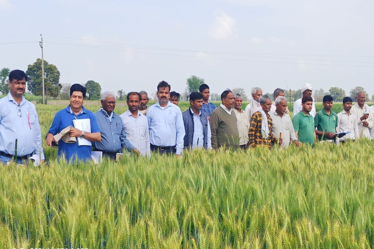 agriculture, sincetist, inspaction, tundla, firozabad