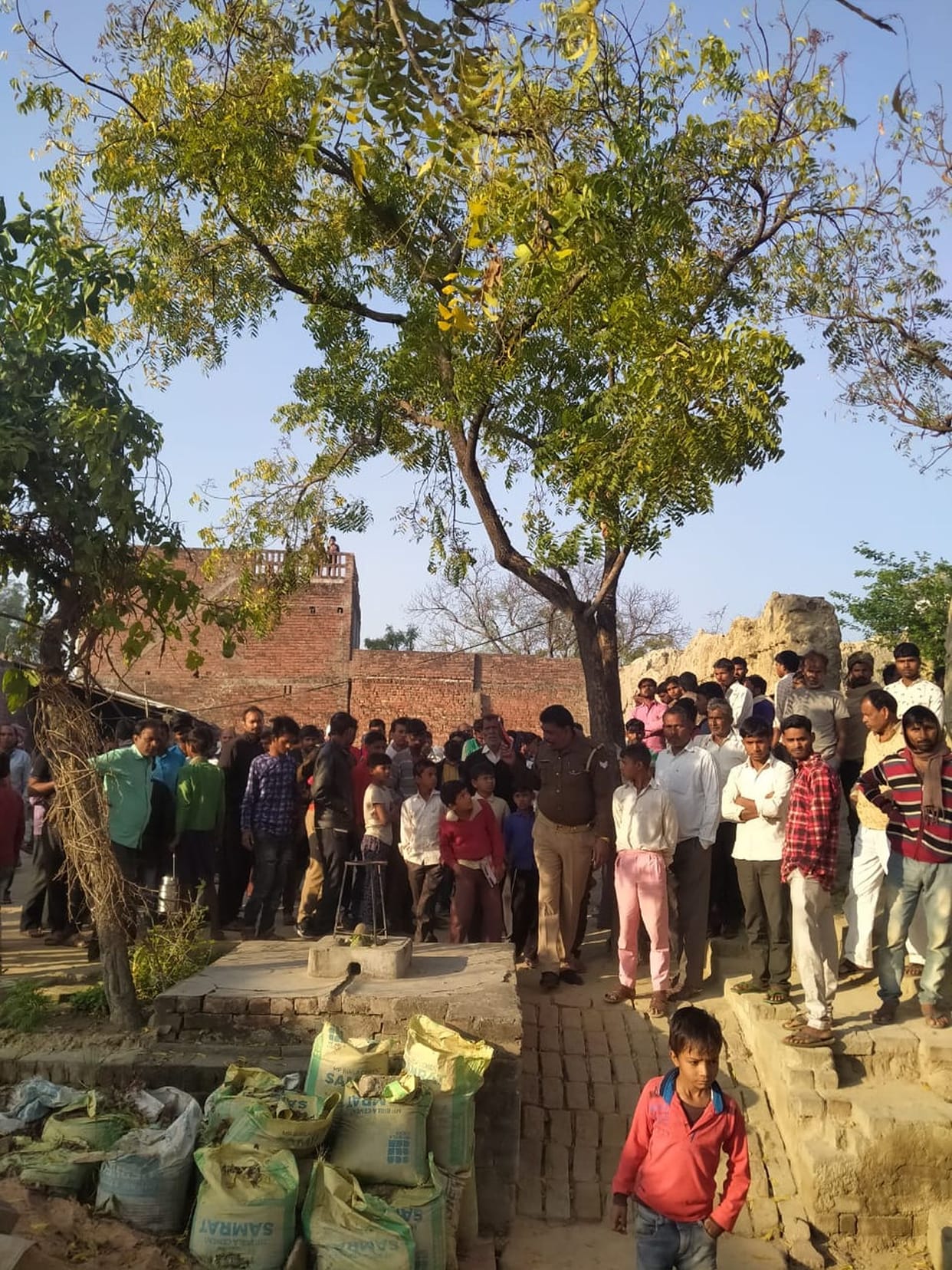 Animal caught on a heifer tied outside the house, feared by tiger