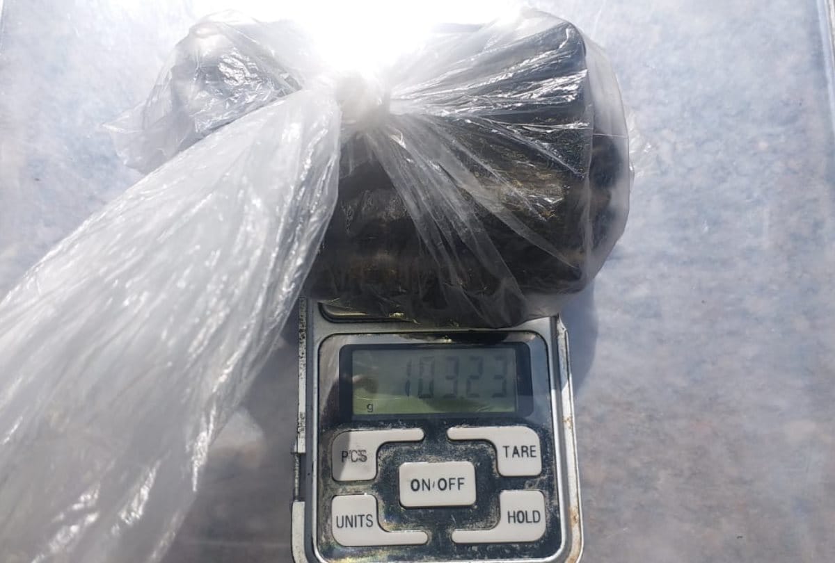 One arrested with 103 gram charas in kangra himachal pradesh