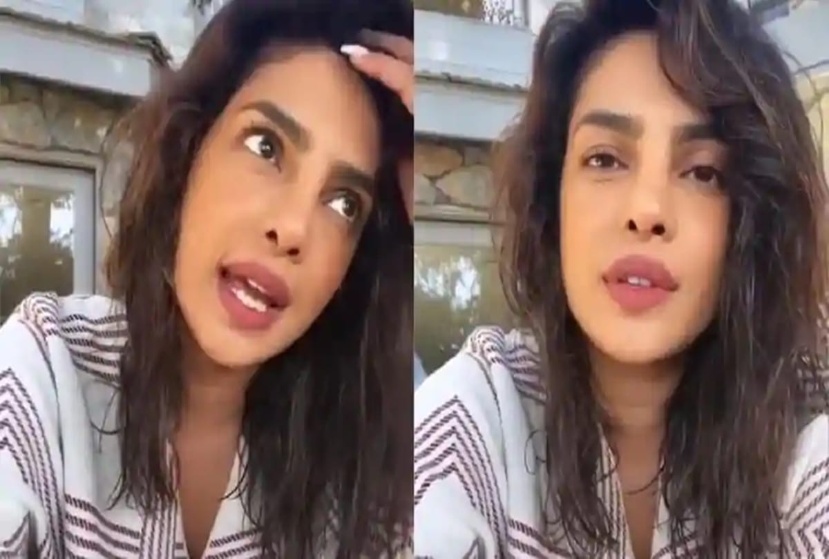 priyanka chopra and nick jonas talk about covid 19 to doctor video viral