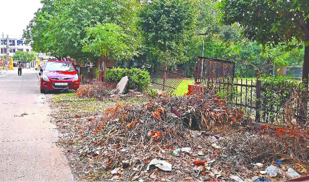 Faridabad Dirt piled up outside parks in Sector 11B condition miserable