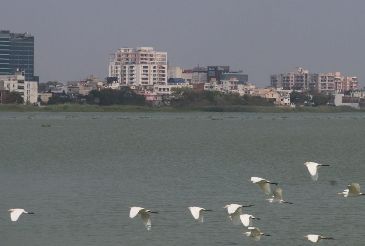 CM Yogi adityanath gave third zoo to Gorakhpur see latest photos