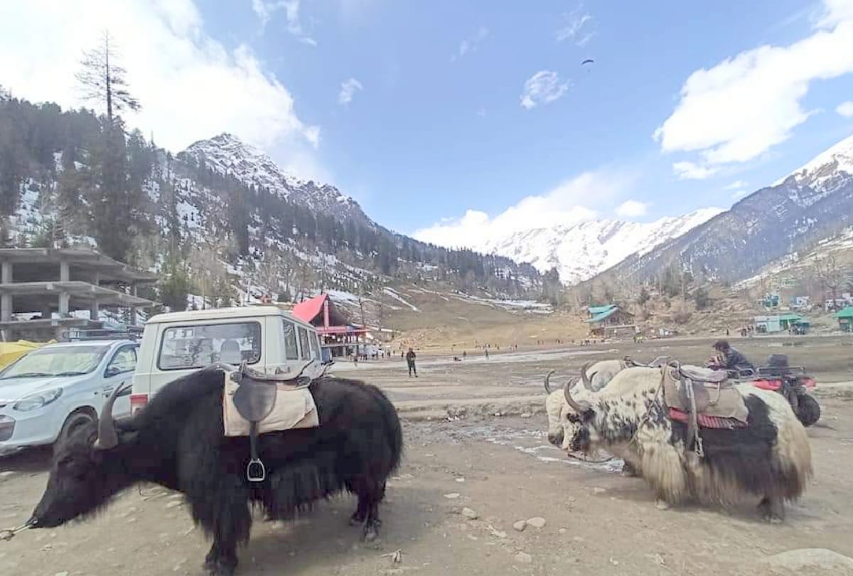 Snowfall again in Rohtang, heavy rain-snowfall and hail storm warning on this day