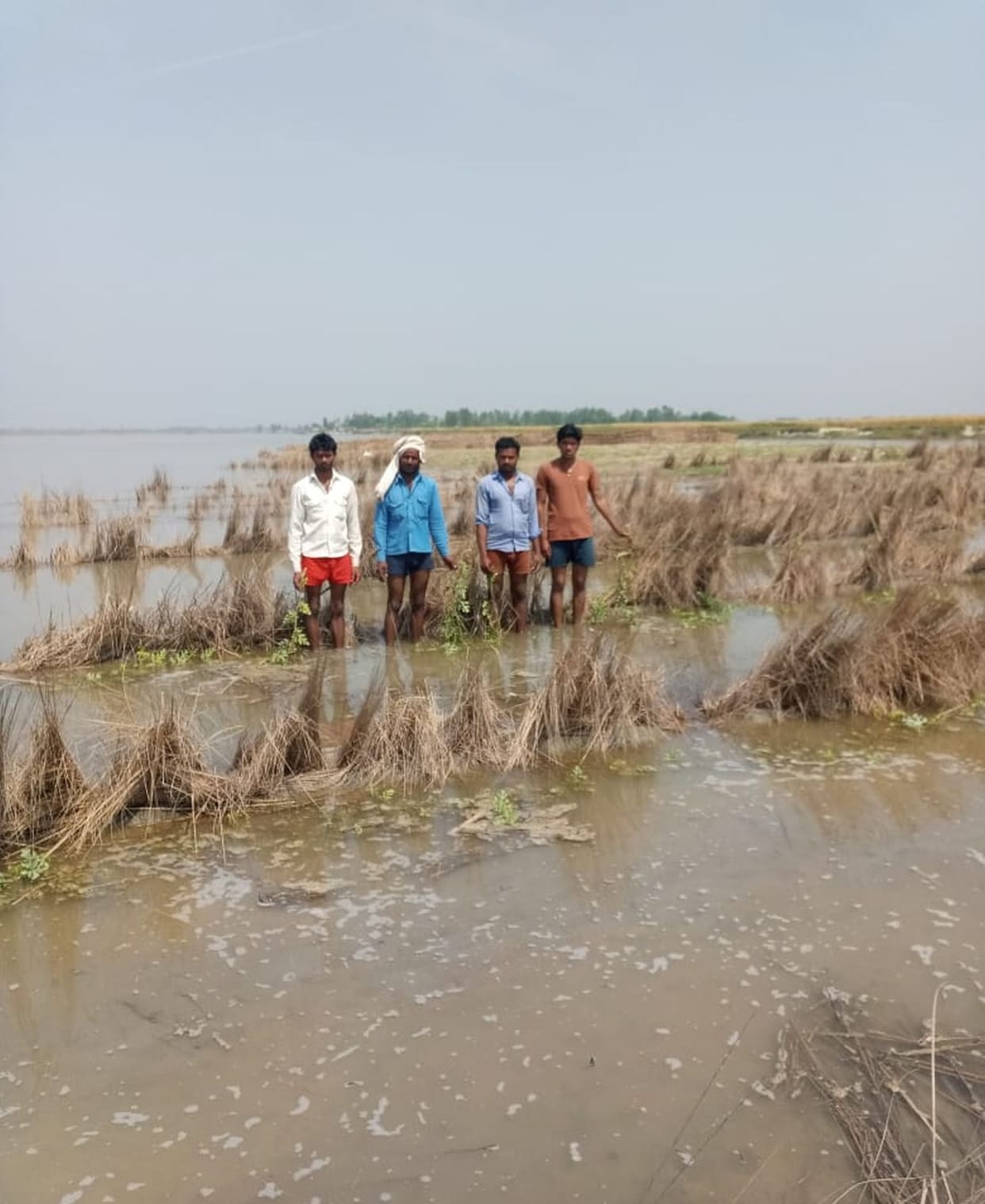 Watermelon, gourd crops submerged as Ganga's water level rises