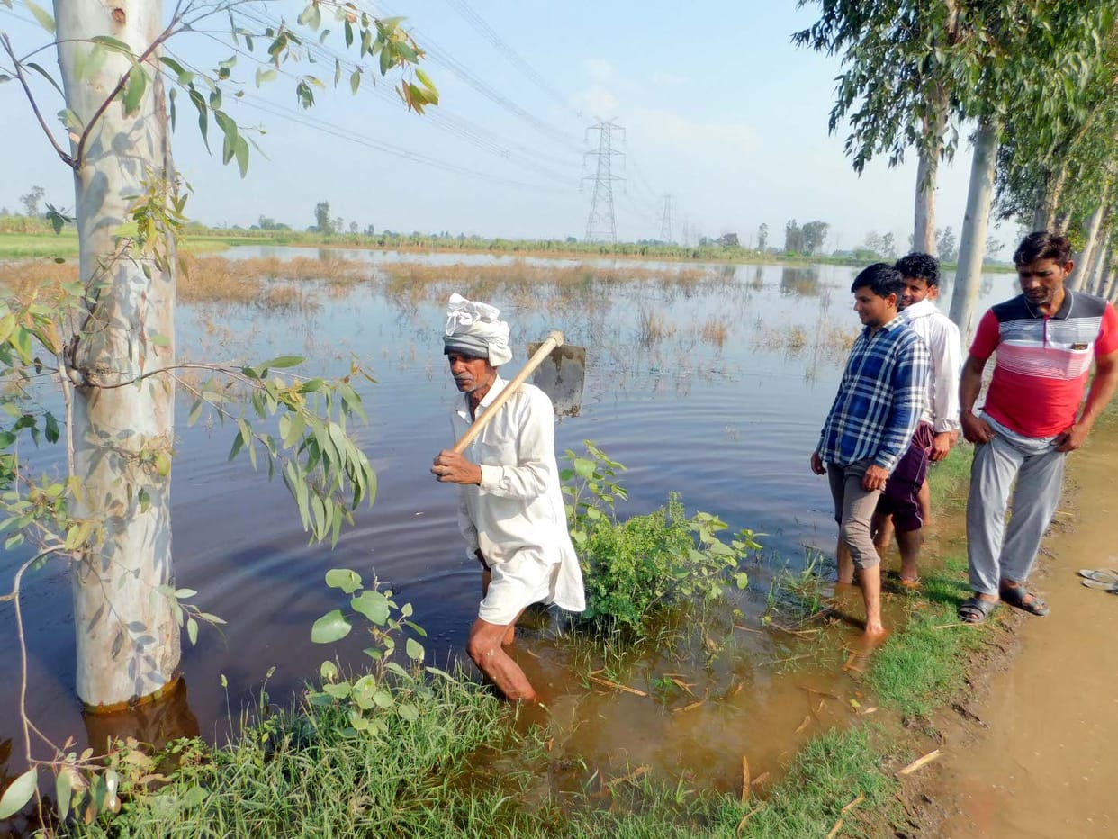 Broken Mamor lake again, farmers crops submerged