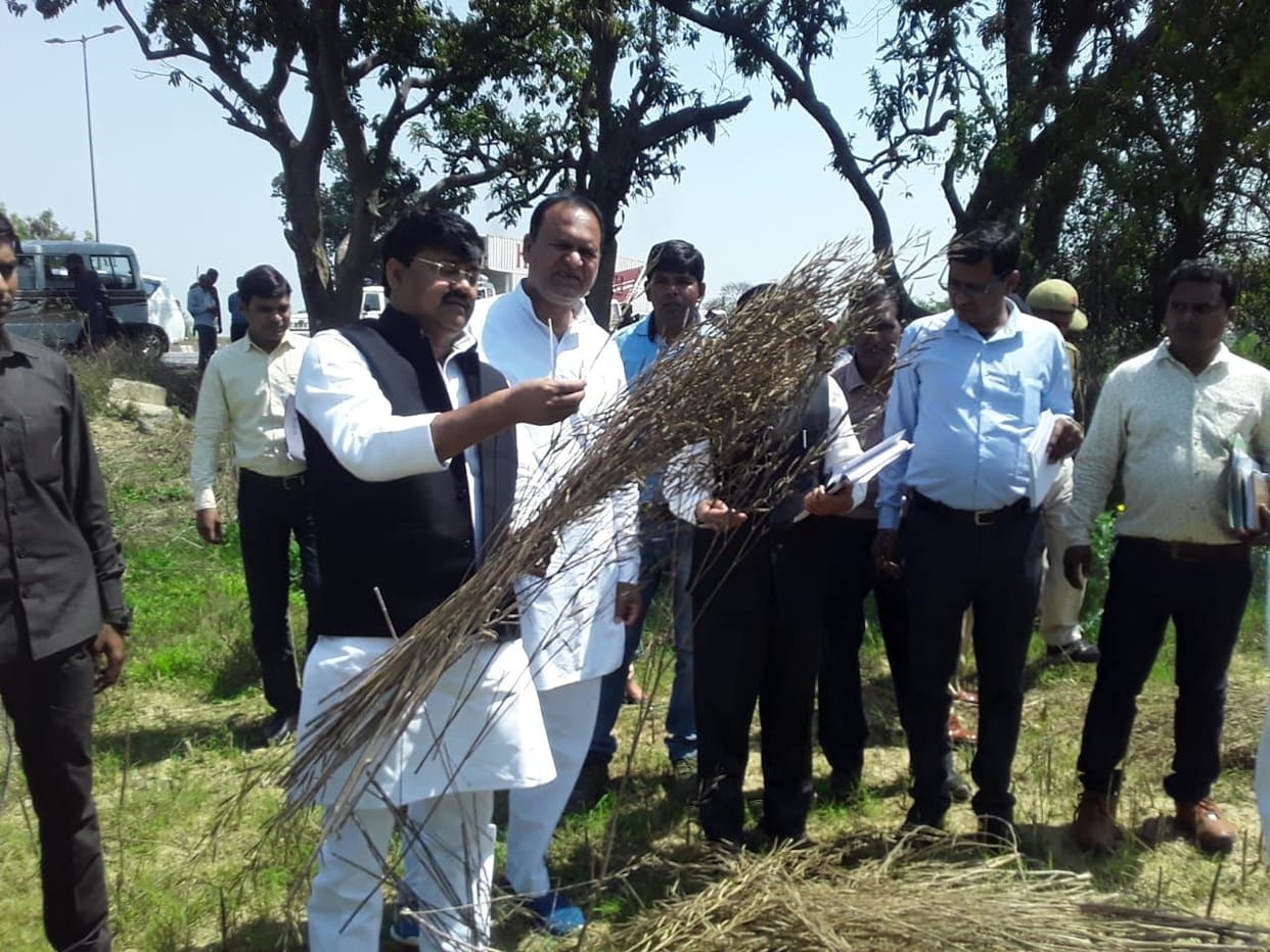 Havoc seen in the fields due to hail in auraiya