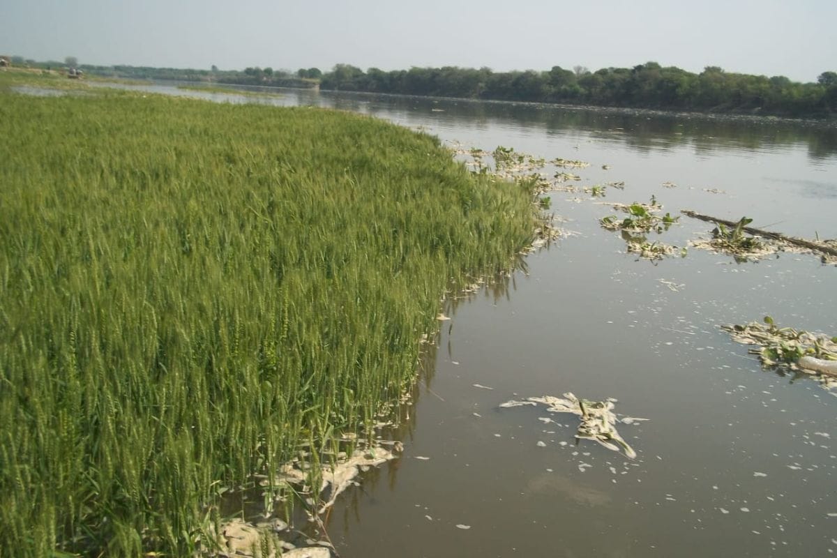 water, level, yamuna, tundla, firozabad