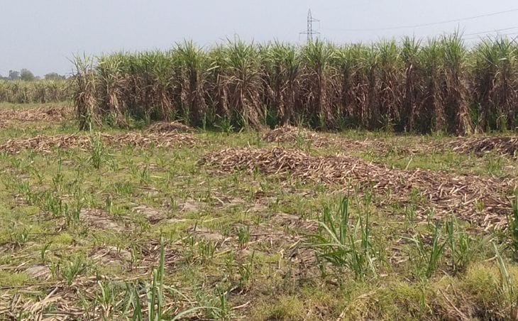 farmers arlso gave support for janta curfew, they are not go in field for work