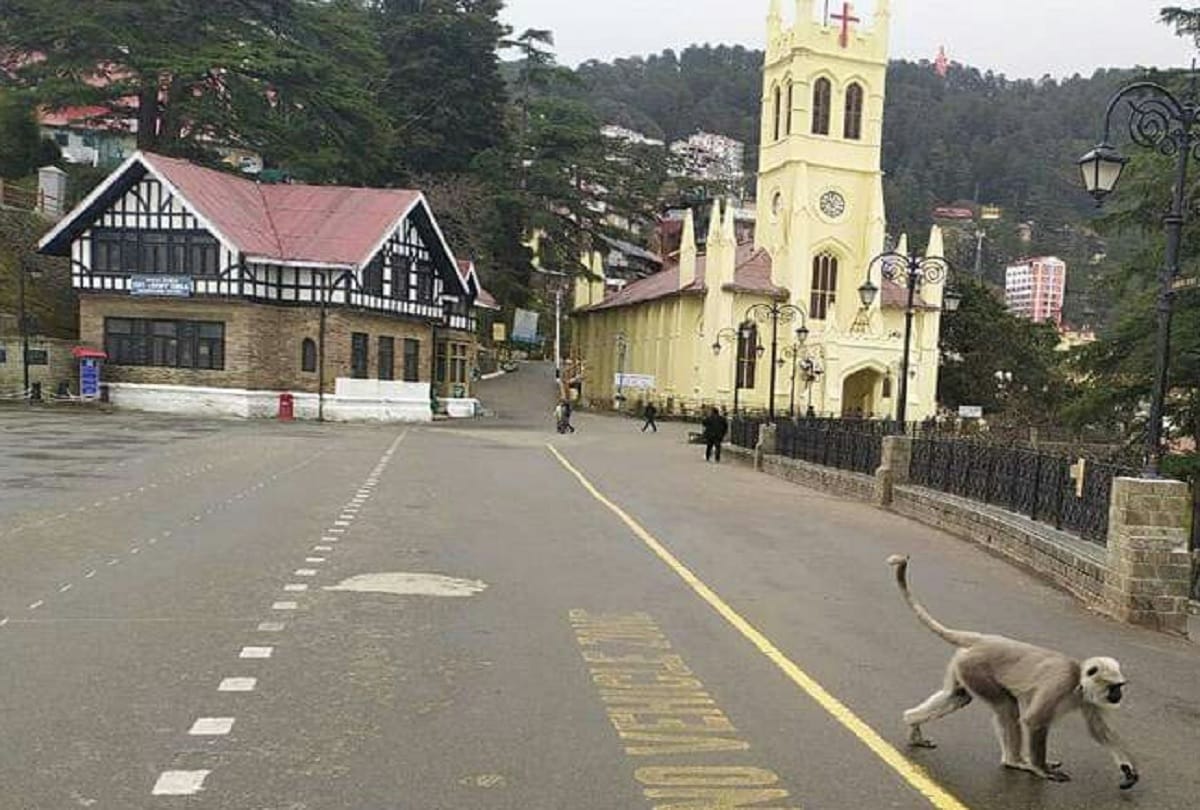 Janta curfew live updates and images in Himachal people inside home roads vacant corona virus impact