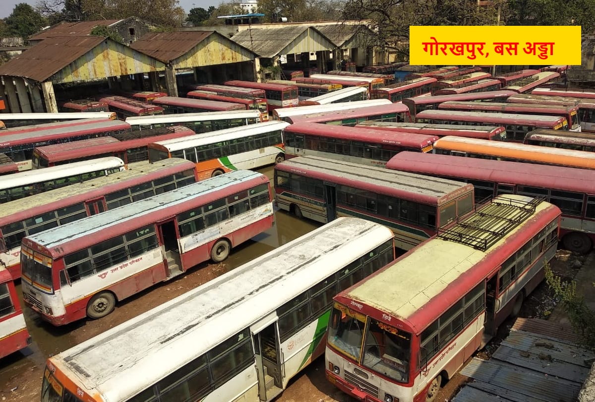 Many passengers reach home in Janta curfew by Roadways bus