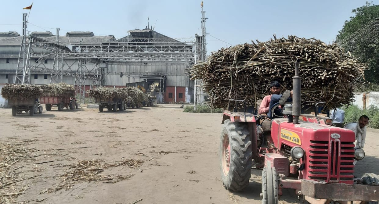 Crushing in sugar mill not stopped
