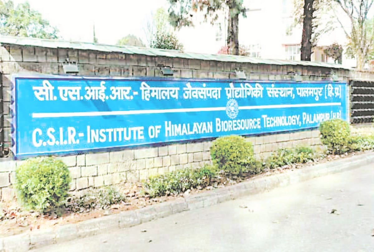 Now chocolate will cure malnutrition along with taste, prepared by CSIR-IHBT