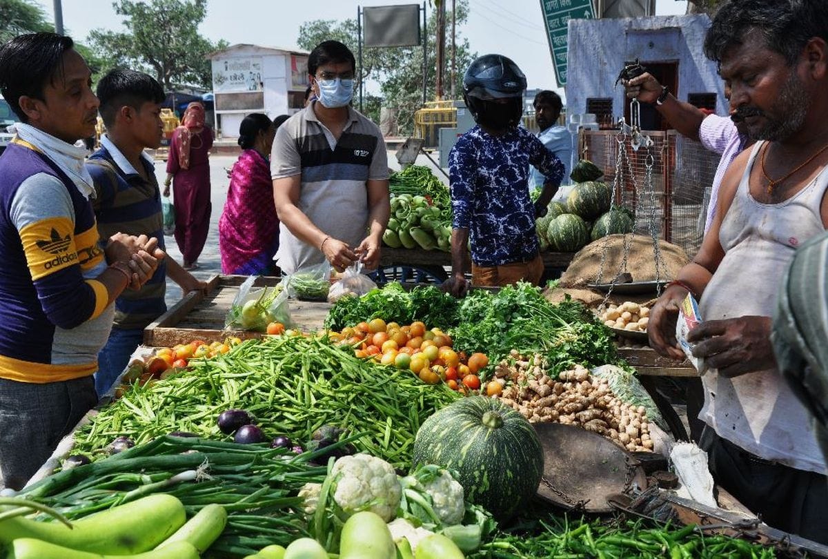 vegetables Price down due to arrival of more vegetables in gorakhpur