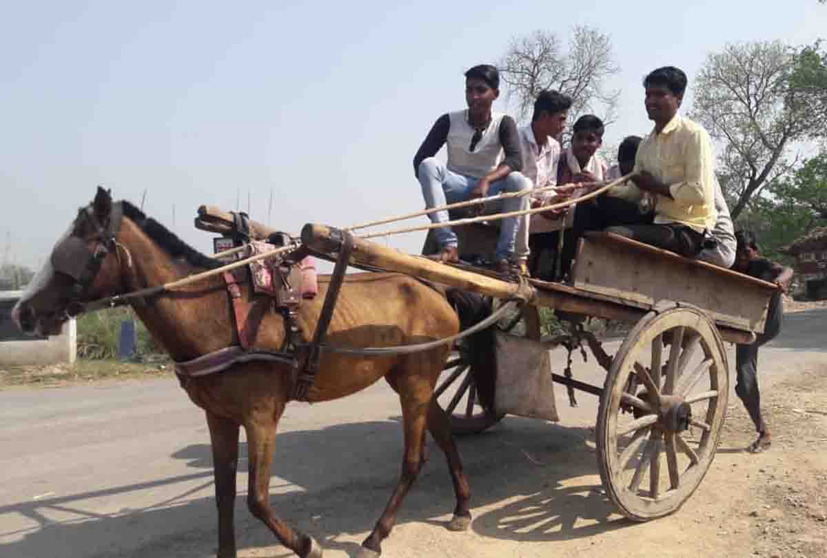 coronavirus update in kanpur: second day  of lockdown