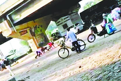 Corona virus in punjab: Know the Situation of Punjab's districts during Curfew