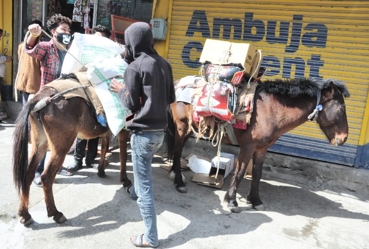 Workers in Himachal Forced to live in home due to coronavirus
