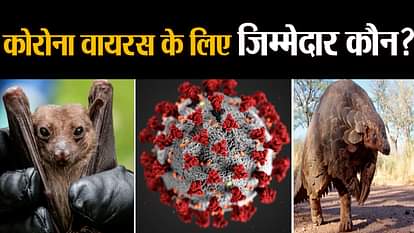 who is responsible for coronavirus