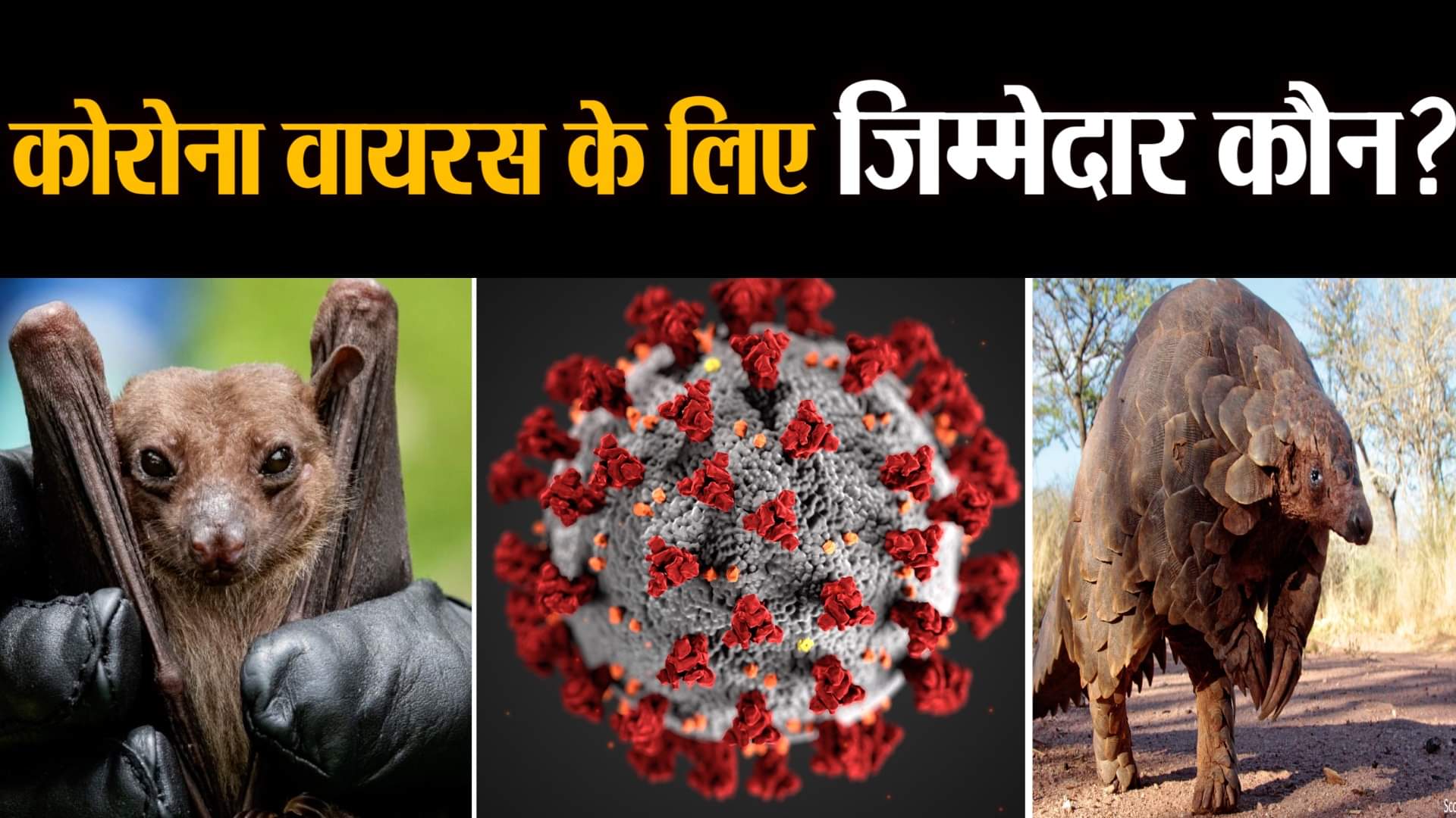 डिजाइन पिक्चर